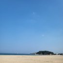 송지호모네블루 이미지
