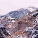 화왕산성 Daum카페