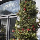 주정차-26 | 전주 혁신도시 신상카페 햇살 좋은 변곡점 방문후기