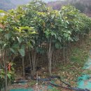 남해농장 이미지