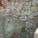 곡성-153 이미지