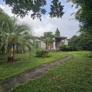 성읍리-21 이미지