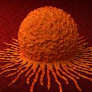 새몸새기운한미르한의원 이미지