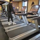 킹콩 피트니스 이미지