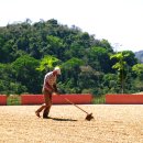 내추럴로 이미지