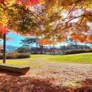 대광농원 | 가을 공주 여행, 역사와 단풍의 향연! 별미 알밤을 즐기다