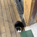 수리봉마을 | 선운산 수리봉 최단코스 (1일 2산)