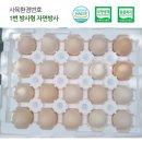 에덴농장 이미지