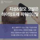 앙포레 이미지