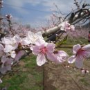 어진이네민박 이미지