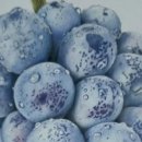 화산동주민센터 이미지