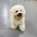 나랑놀개 이미지