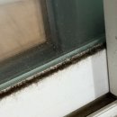 씨유 대구카톨릭원룸점 | 하양 대가대효성캠퍼스 베란다 있는 미니투룸 청소후기