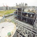 주식회사 더바이오 이미지