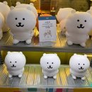 홍대 제로퍼센트 서울 나가노 마켓 팝업샵 방문 후기 | 리스트 외 품목, 매진