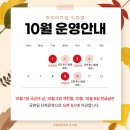 파프리카짐도마
