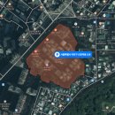 신덕5호 이미지