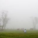 알파목장 이미지