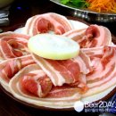 웰빙월남쌈