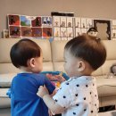 시우네가든 이미지