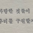 서울인마이백 이미지