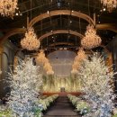 (주)포엠그룹 | 광주웨딩홀 까사디루체, 위더스 투어 (26년 하반기, 27년 견적 공유)