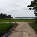 지용산인 이미지