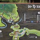 매화관