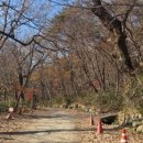 순천산식 이미지