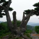 안계2리 이미지