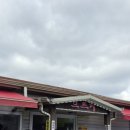 표선면 제일주택 앞 | 2주일 살기 _ 제주도편 (12/19 ~1/2)