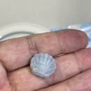 애니브리즈 이미지