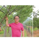 성일농원 이미지