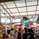 고성시장 | 강원도 고성 여행 후기 | 속초중앙시장 들러 저녁 장보기, 현지인 추천 물회집 포장