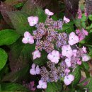 상리농장 이미지