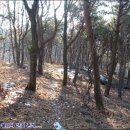 마리산 마트 이미지