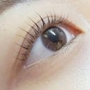 마이 룬 뷰티