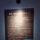 대주마트 | [25. 02. 28] 슨토 유어수족관 방문기