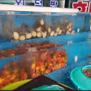 북항회.탕센타 이미지