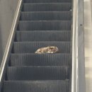 씨유마포아이파크SK뷰점 | 3분기도 끝 9월 일상