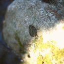 산아래 민박 이미지