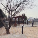 (주)여행장인