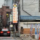부산 곱창 맛집으로 유명한 서면 문화양곱창 내돈내산 솔직후기