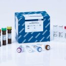 테라스크린 이미지