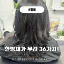 36 | 남산동미용실 10년 경력의 한방 헤드스파 전문 [루회리] 효도 코스 대만족 후기