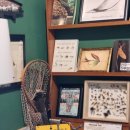 여울 롯지 이미지