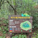 제주가마오름 일제동굴진지 | &lt;제주오름&gt; 제주오름동호회 짭잘봉과 함께, &#39;광이오름&#39; 한라수목원까지 둘러보기