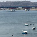 한강르네상스 양화1호점 이미지