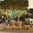 단봉슈퍼 | 대전 오월드 야간개장(동물원·놀이기구·사파리)