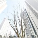 호반써밋 3114동 이미지